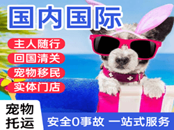 威海大水泊机场邮寄国际宠物托运 【国